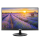 Monitor LED 21" i mniejszy ASUS 21,5'' VT229H 90LM0490-B01170 Czarny